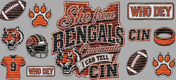 16oz team-NFL 3556